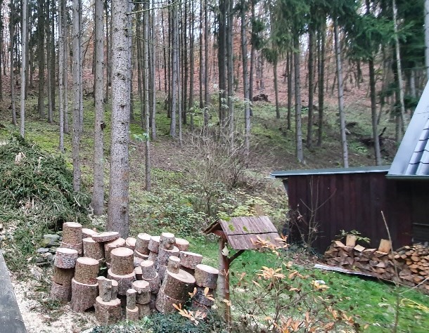 Likvidace dřevní hmoty a úklid